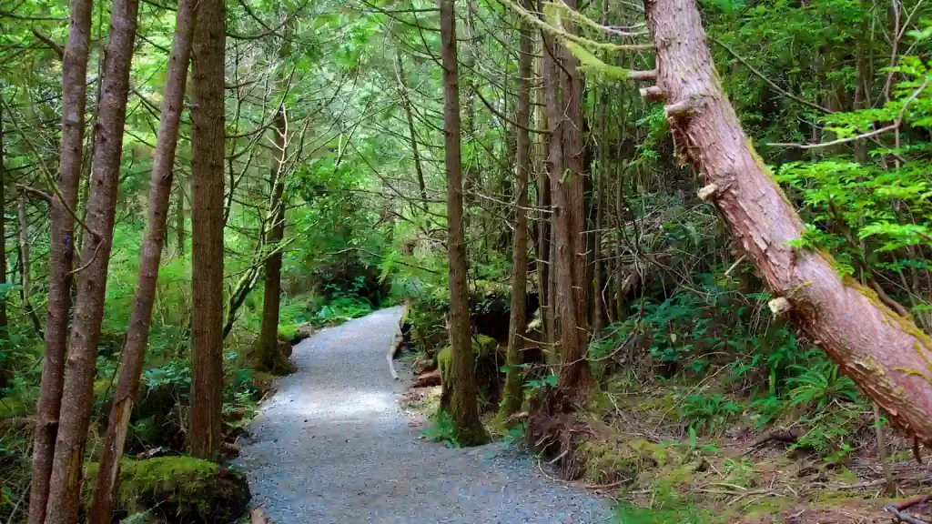 Explore British Columbia The Pacific Rim National Park Reserve