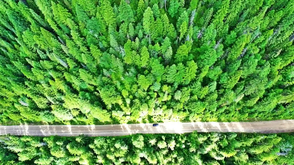 Wells Gray Provincial Park