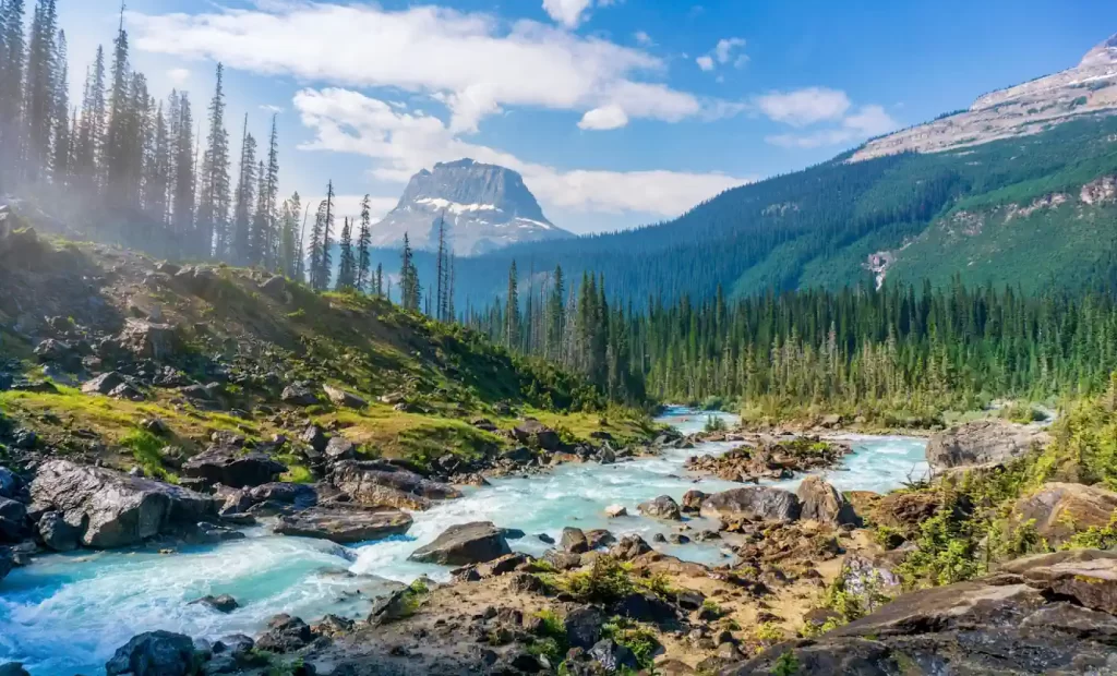 yoho national park