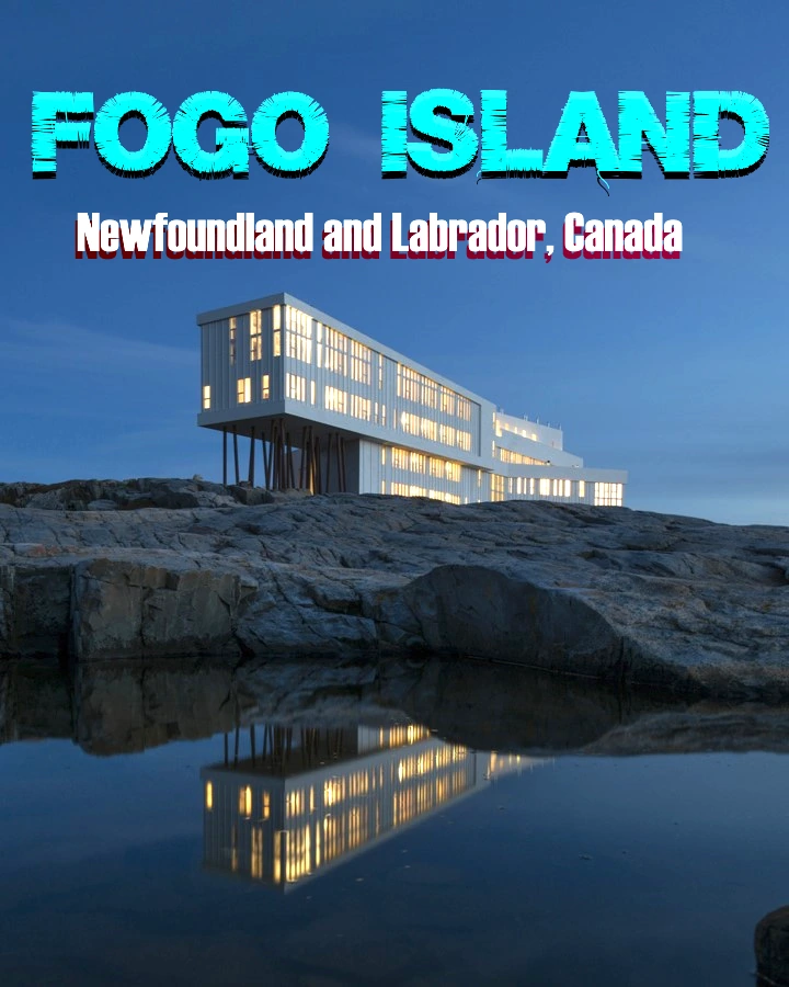 The Ultimate Travel Guide to Fogo Island